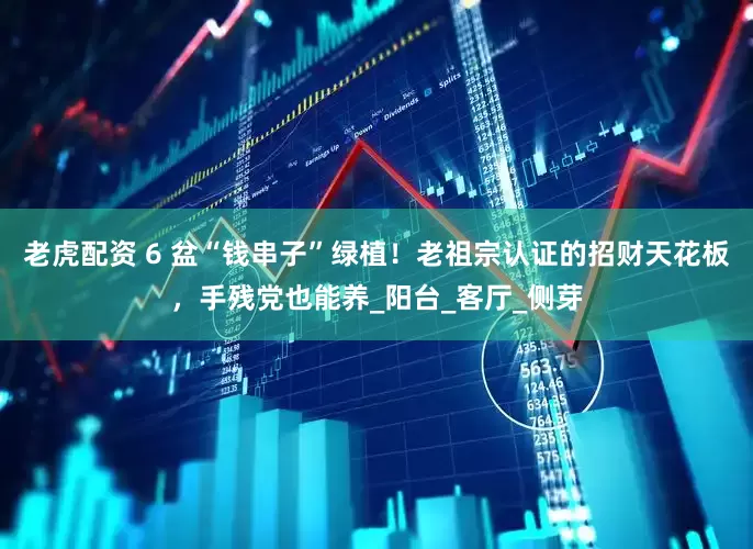 老虎配资 6 盆“钱串子”绿植！老祖宗认证的招财天花板，手残党也能养_阳台_客厅_侧芽