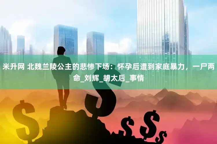 米升网 北魏兰陵公主的悲惨下场：怀孕后遭到家庭暴力，一尸两命_刘辉_胡太后_事情