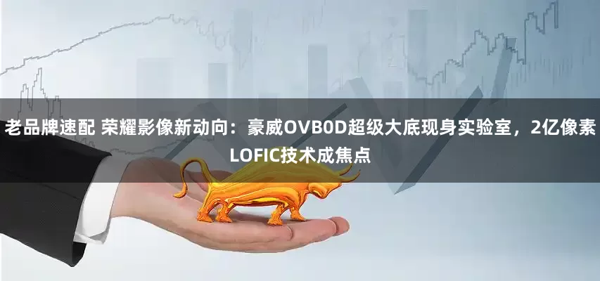 老品牌速配 荣耀影像新动向：豪威OVB0D超级大底现身实验室，2亿像素LOFIC技术成焦点